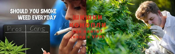 мяу мяу мука Инта